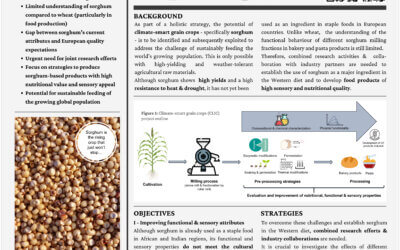 Climate-Smart Grain Crops